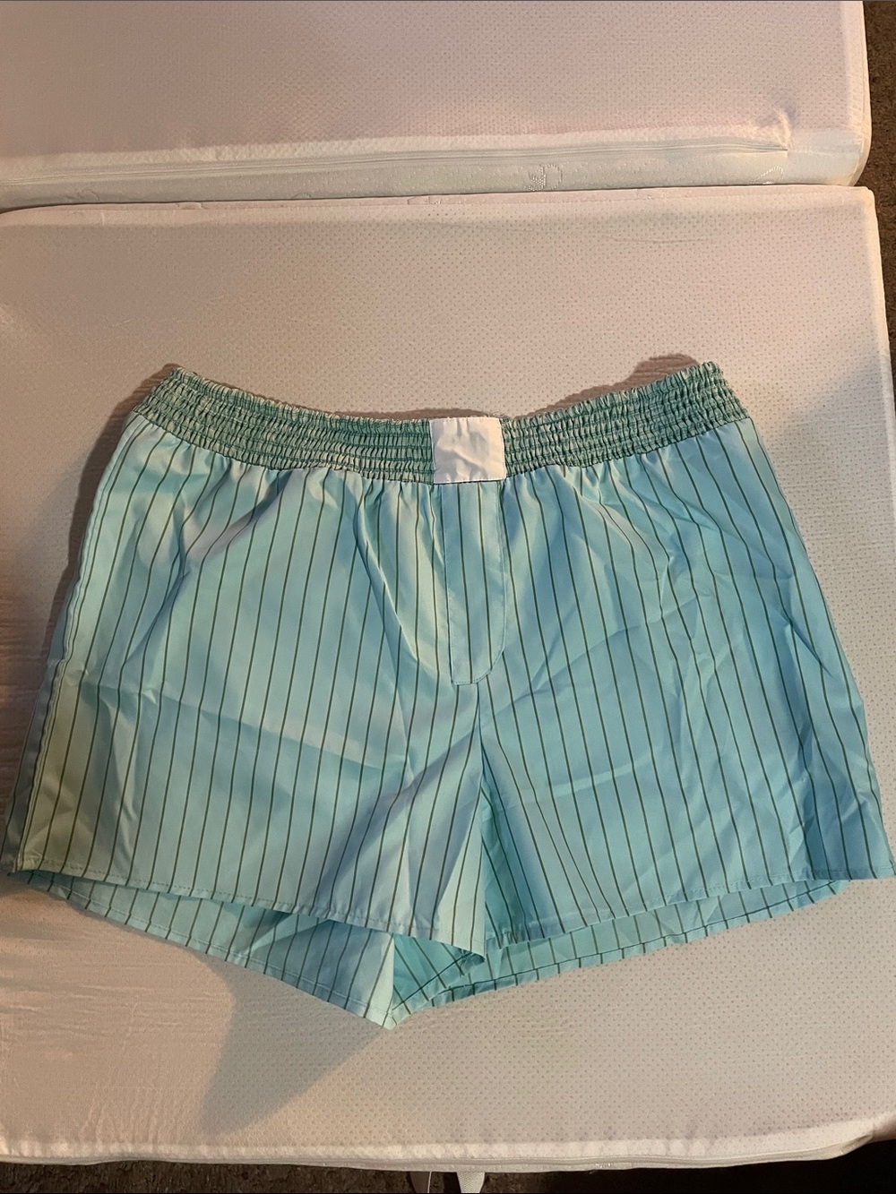 Women's Light Blue Pinstripe Athletic Shorts with Elastic Waist